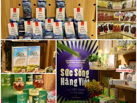 “Sức sống hàng Việt” thúc đẩy tiêu thụ đặc sản Lai Châu trên nền tảng số