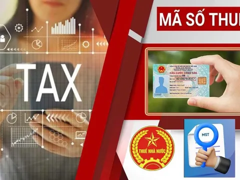 Ngành thuế mở chiến dịch 'Làm sạch mã số thuế - Tháo gỡ điểm nghẽn kinh doanh'