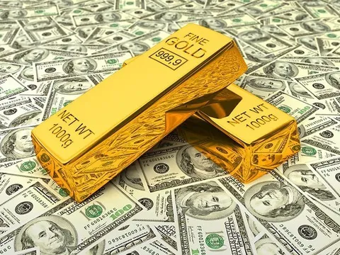 Khai báo không trung thực về ngoại tệ, vàng khi xuất, nhập cảnh bị xử phạt như thế nào?