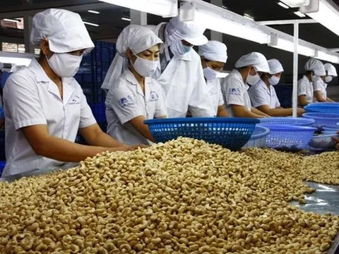Bộ NN&MT đề xuất bãi bỏ hơn 100 văn bản không còn phù hợp
