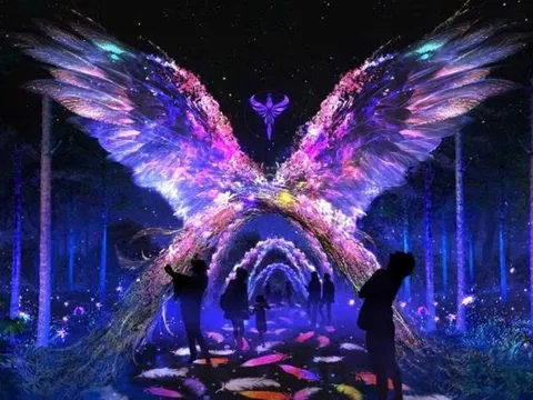 Khám phá điểm đến hấp dẫn về đêm tại xứ ngàn hoa
