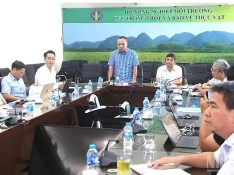 Triển khai phân cấp, phân quyền và cắt giảm thủ tục hành chính trong lĩnh vực trồng trọt, bảo vệ thực vật