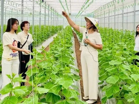 Hướng đi “xanh” của du lịch Việt