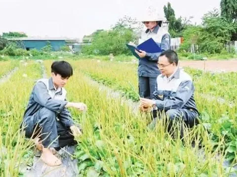 Sớm xây dựng quy trình chuẩn hóa chất lượng dược liệu