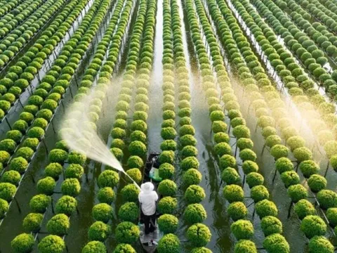 Xây dựng dự án sửa đổi 10 luật về thủ tục hành chính lĩnh vực nông nghiệp, môi trường theo thủ tục rút gọn