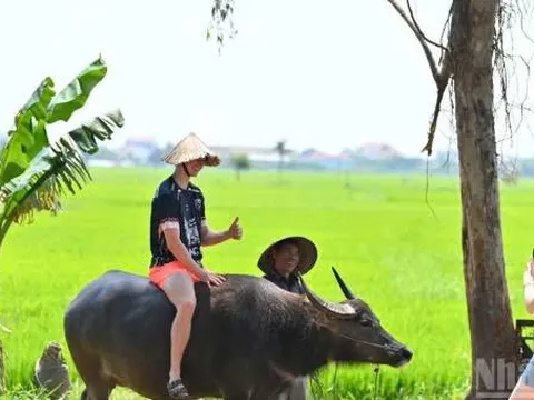 Hành trình chuyển mình mạnh mẽ của du lịch Việt Nam