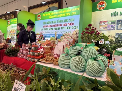 Giảm chi phí thể chế, tăng sức cạnh tranh cho nông nghiệp Việt
