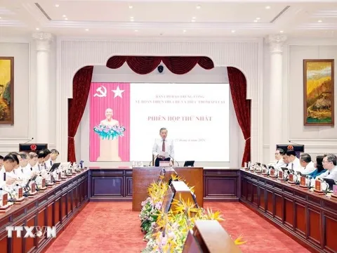 Thông báo kết luận của Tổng Bí thư, Chủ tịch nước Tô Lâm tại Phiên họp thứ nhất BCĐ Trung ương về hoàn thiện thể chế và thực thi pháp luật