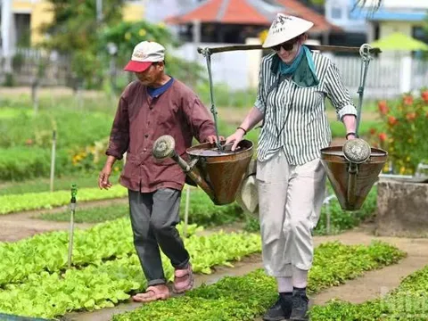 Khám phá Việt Nam trong cuộc phiêu lưu đa giác quan