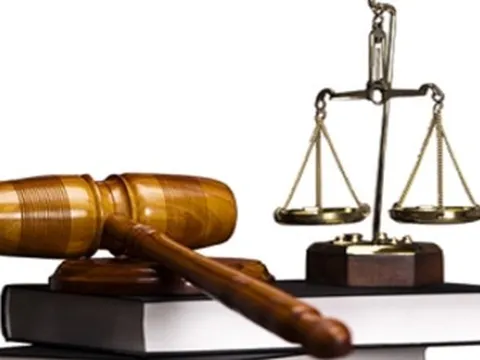 Quy định xử phạt vi phạm hành chính đối với hành vi phá hủy các công trình bảo vệ và phát triển rừng