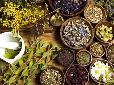 Phát huy vai trò của y học cổ truyền trong chăm sóc, nâng cao sức khỏe Nhân dân