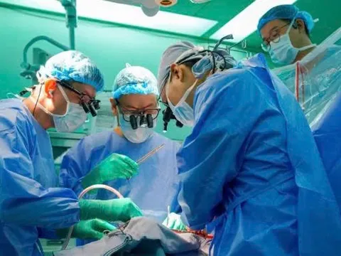Bệnh viện Đại học Y Dược Thành phố Hồ Chí Minh thực hiện ca ghép đa tạng nối dài sự sống cho nhiều người