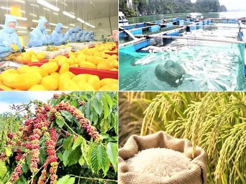 Giảm phát thải: 'Giấy thông hành' cho nông sản xuất khẩu