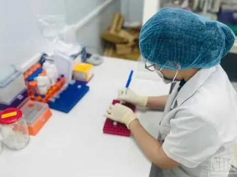 Tạo cơ sở pháp lý vững chắc cho giá trị của kết luận giám định trong xét xử hình sự