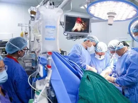 Hình thành hệ sinh thái y tế chuyên sâu quốc gia