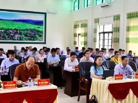 Điện Biên dự kiến giảm 176 đầu mối sau khi sắp xếp mạng lưới trường học