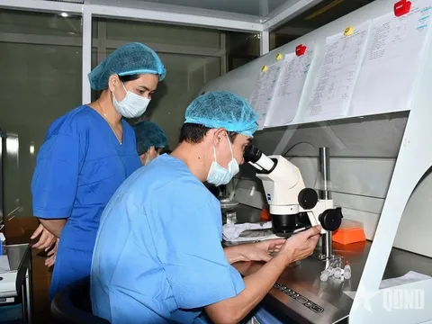 Bước tiến mới trong điều trị nam giới hiếm muộn