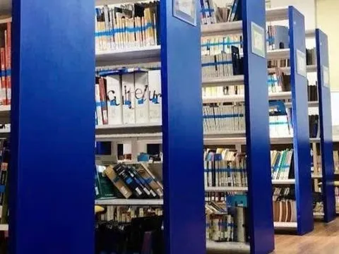 Cán bộ thành thạo ngoại ngữ hiếm được hỗ trợ hằng tháng bằng 300% mức lương
