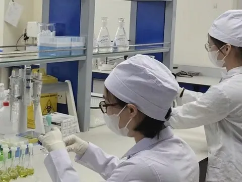 Triển khai đồng bộ các giải pháp quản lý chất lượng thuốc