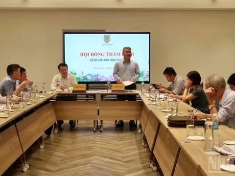 Cần có cơ chế kiểm soát phù hợp để phòng ngừa vi phạm trong đấu thầu
