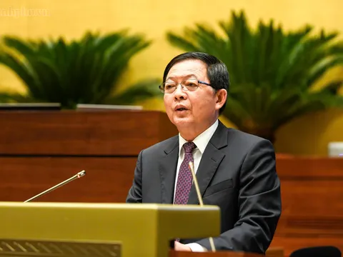 Tán thành sửa đổi, bổ sung 10 luật về cải cách TTHC, điều kiện kinh doanh lĩnh vực nông nghiệp và môi trường