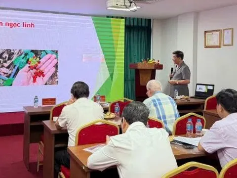 Thúc đẩy các giải pháp phát triển dược liệu tại Việt Nam