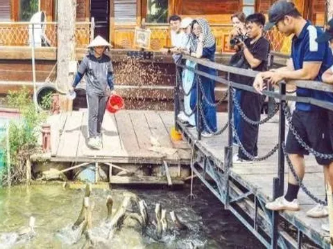 Về Cồn Sơn xem cá lóc “bay”