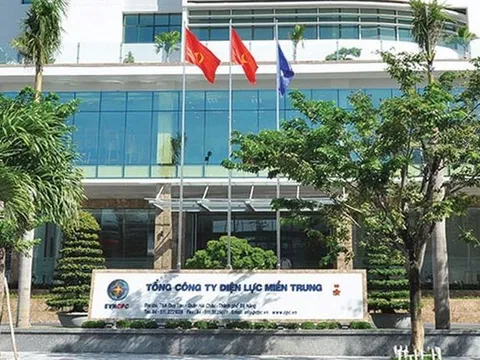 Nhà máy điện gió của Trung Nam Group và nhiều dự án tại Đắk Lắc bị Thanh tra Chính phủ “nhắc tên”