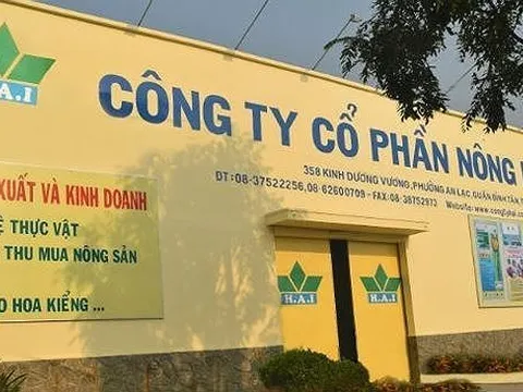 Ủy ban Chứng khoán Nhà nước ra quyết định xử phạt một loạt doanh nghiệp