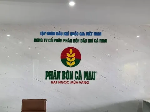 Đạm Cà Mau bị xử phạt và truy thu thuế gần 6,2 tỷ đồng
