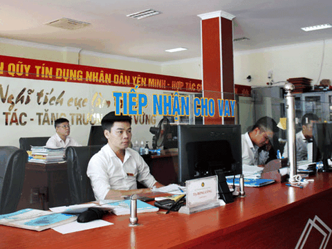 Tăng cường công tác thanh tra, kiểm tra, giám sát toàn diện hoạt động của Quỹ tín dụng nhân dân