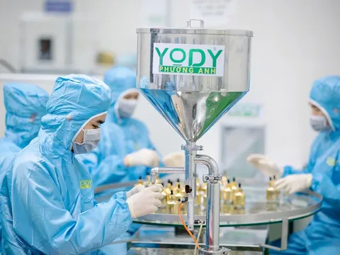 Mỹ phẩm Yody Phương Anh bị thu hồi