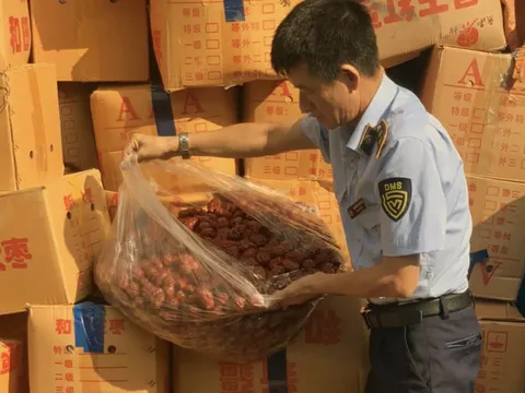 Phát hiện hơn 4 tấn táo đỏ nhập lậu
