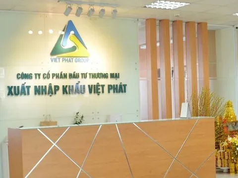Xuất nhập khẩu Việt Pháp bị phạt 235 triệu đồng do vi phạm công bố thông tin