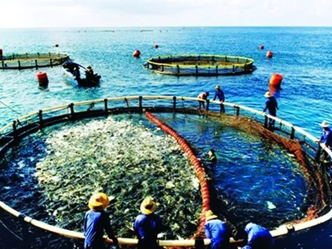 Bộ đội Biên phòng tỉnh Hà Tĩnh: Nhiều biện pháp giữ vững an ninh, bảo vệ nguồn lợi thủy sản