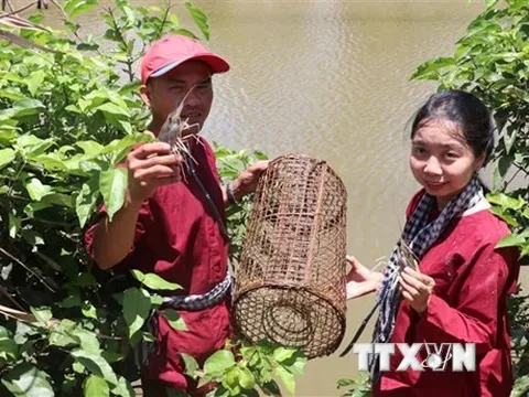 Việt Nam đăng cai tổ chức trực tiếp diễn đàn du lịch Mekong năm 2022