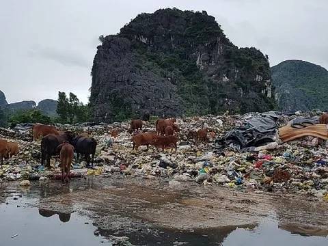 Thanh Hóa: Dân mong sớm xây nhà máy xử lý bãi rác tồn tại hàng thập kỷ