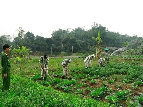 Hà Nội sẵn sàng thực hiện hiệu quả đợt đặc xá tha tù trước thời hạn