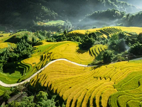 Lên Sa Pa ngắm mùa vàng ruộng bậc thang
