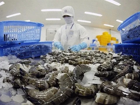 Hoa Kỳ tiếp tục áp thuế chống bán phá giá với tôm nước ấm từ Việt Nam