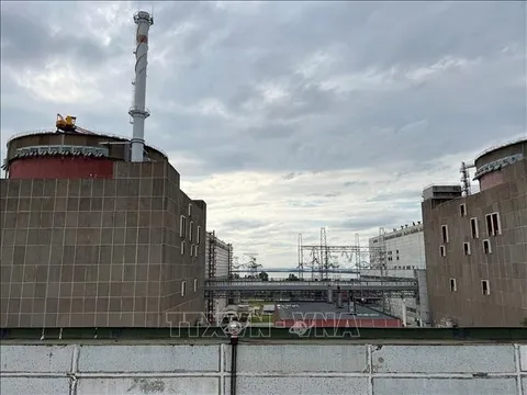 Ban Giám đốc IAEA kêu gọi Nga rời nhà máy điện hạt nhân Zaporizhzhia