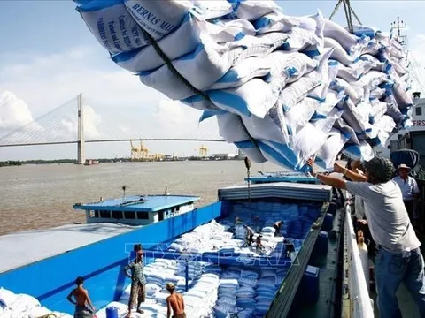 Ấn Độ cấm xuất khẩu gạo, Thủ tướng yêu cầu nghiên cứu tác động đến việc sản xuất và xuất khẩu gạo của Việt Nam