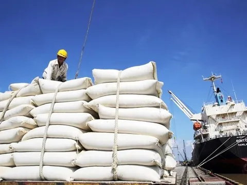 Nhận định cơ hội tăng trưởng mới cho xuất khẩu gạo Việt Nam