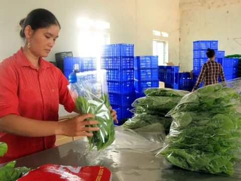 Quản lý chặt chuỗi cung ứng nông sản trên thị trường