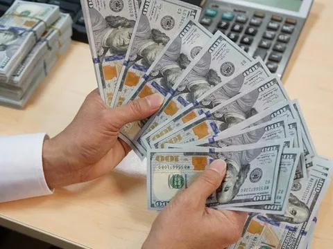 Ngân hàng Nhà nước điều chỉnh biên độ tỷ giá lên ±5% từ ngày 17/10