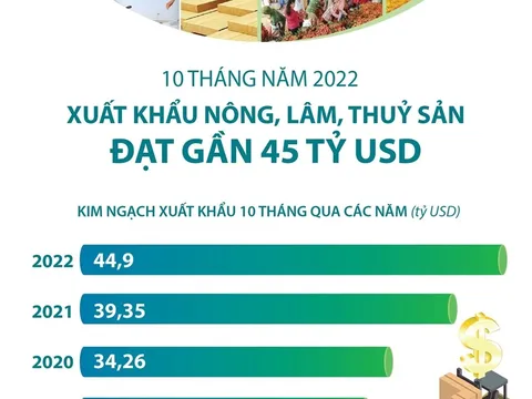 10 tháng năm 2022: Xuất khẩu nông, lâm, thủy sản đạt gần 45 tỷ USD
