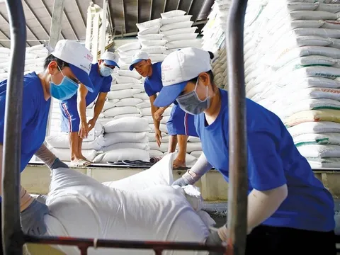 Tổng khối lượng gạo xuất khẩu trong 10 tháng vượt 6 triệu tấn