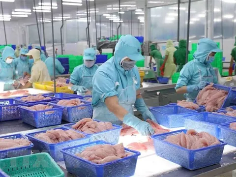 Thu ngân sách từ xuất nhập khẩu tăng 14,6% so với cùng kỳ