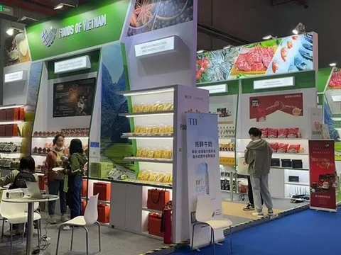 Bộ Công Thương hỗ trợ các doanh nghiệp Việt Nam quảng bá tại CIIE-5
