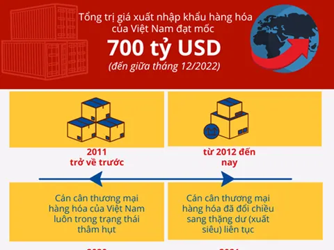 Thứ hạng xuất nhập khẩu của VN có thể được nâng cao trên toàn cầu
